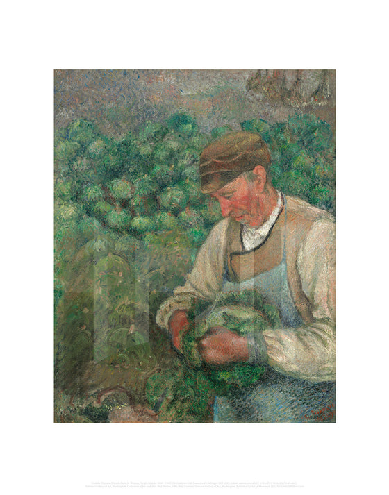 The Gardener-Old Peasant with Cabbage