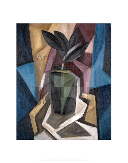 Rubber Plant, Marsden Hartley